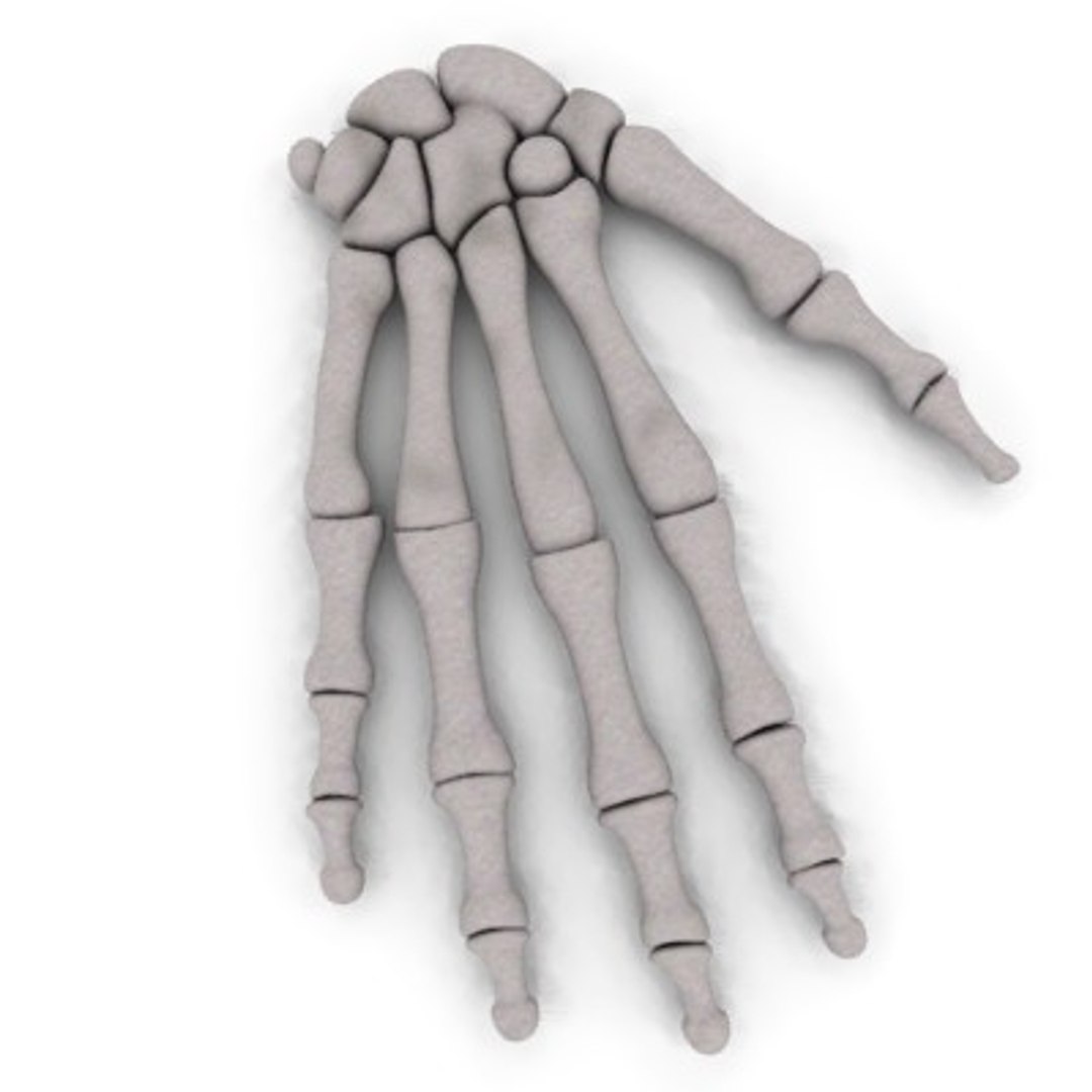 3d hand bones model https://p.turbosquid.com/ts-thumb/yc/EV0Nnf/56vcOrXC/hand_bones/jpg/1187545872/1920x1080/fit_q87/3ef03f8cca6e79526931dbab6f1ca19591834fb3/hand_bones.jpg