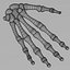 hand_bones 3ds+text