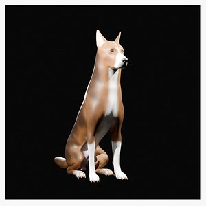 Dog Model DM02