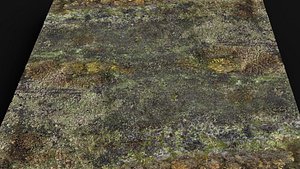 terrain ground grass bushes patch pt7 PBR photogrammetry 3D model