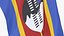 Eswatini Cloth Flag Wall Mount Animated Loop 3D model