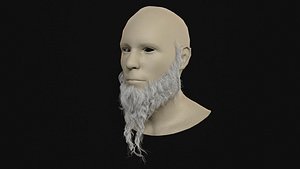 29Orc Beard