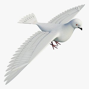Dove 3D T Posed Printable Ready for Rigging