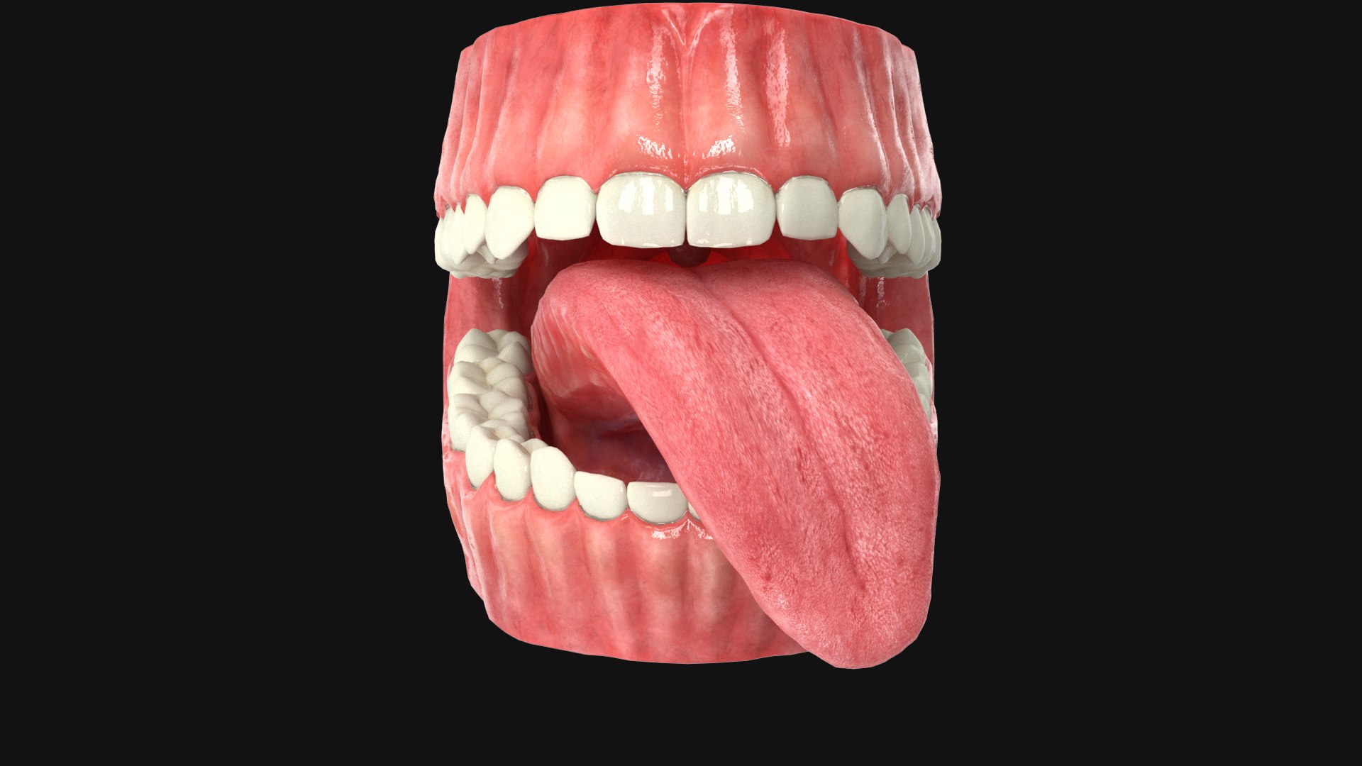 Realistic Human Mouth Rig 3ds MAX 3D model - TurboSquid 1916012