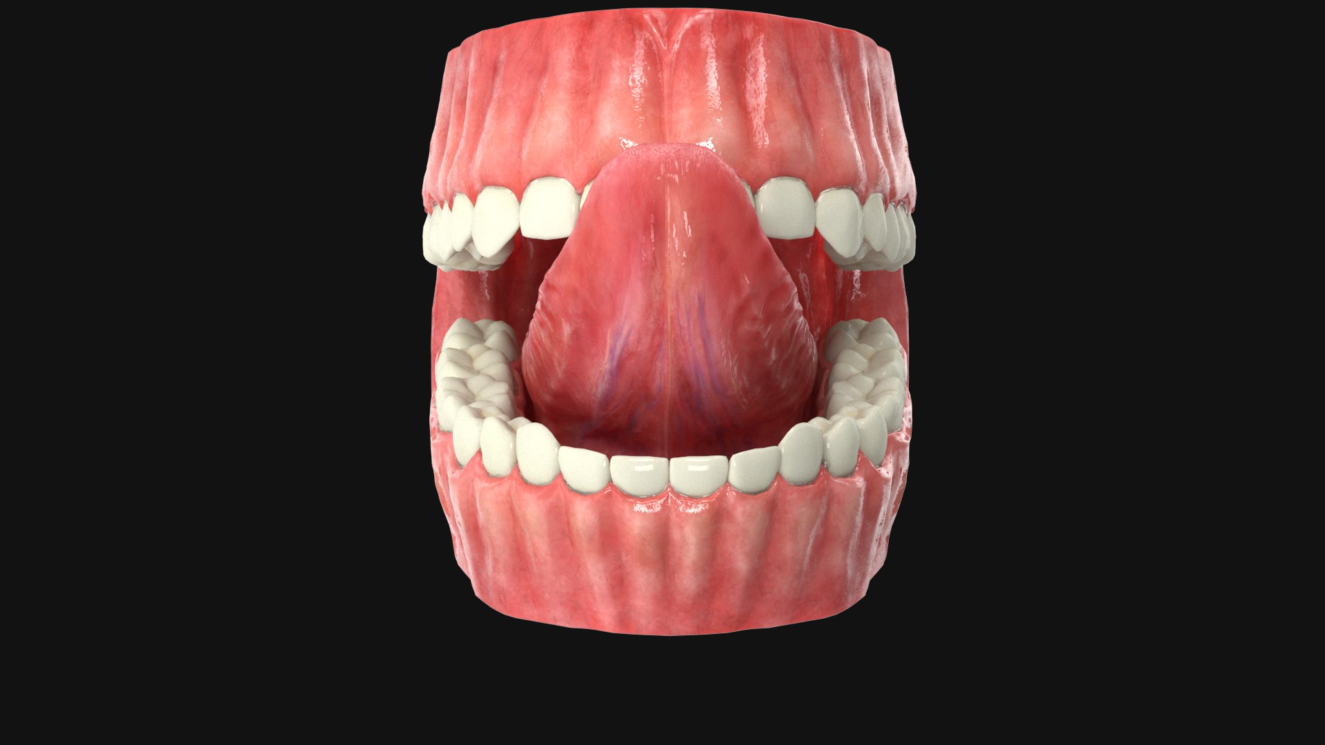 Realistic Human Mouth Rig 3ds MAX 3D model - TurboSquid 1916012