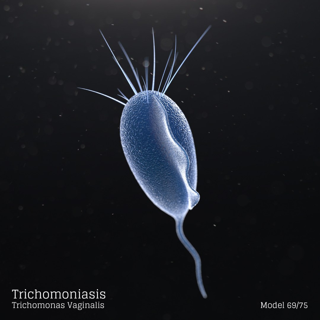 Microbes Bacteria Cells Model - TurboSquid 1626134