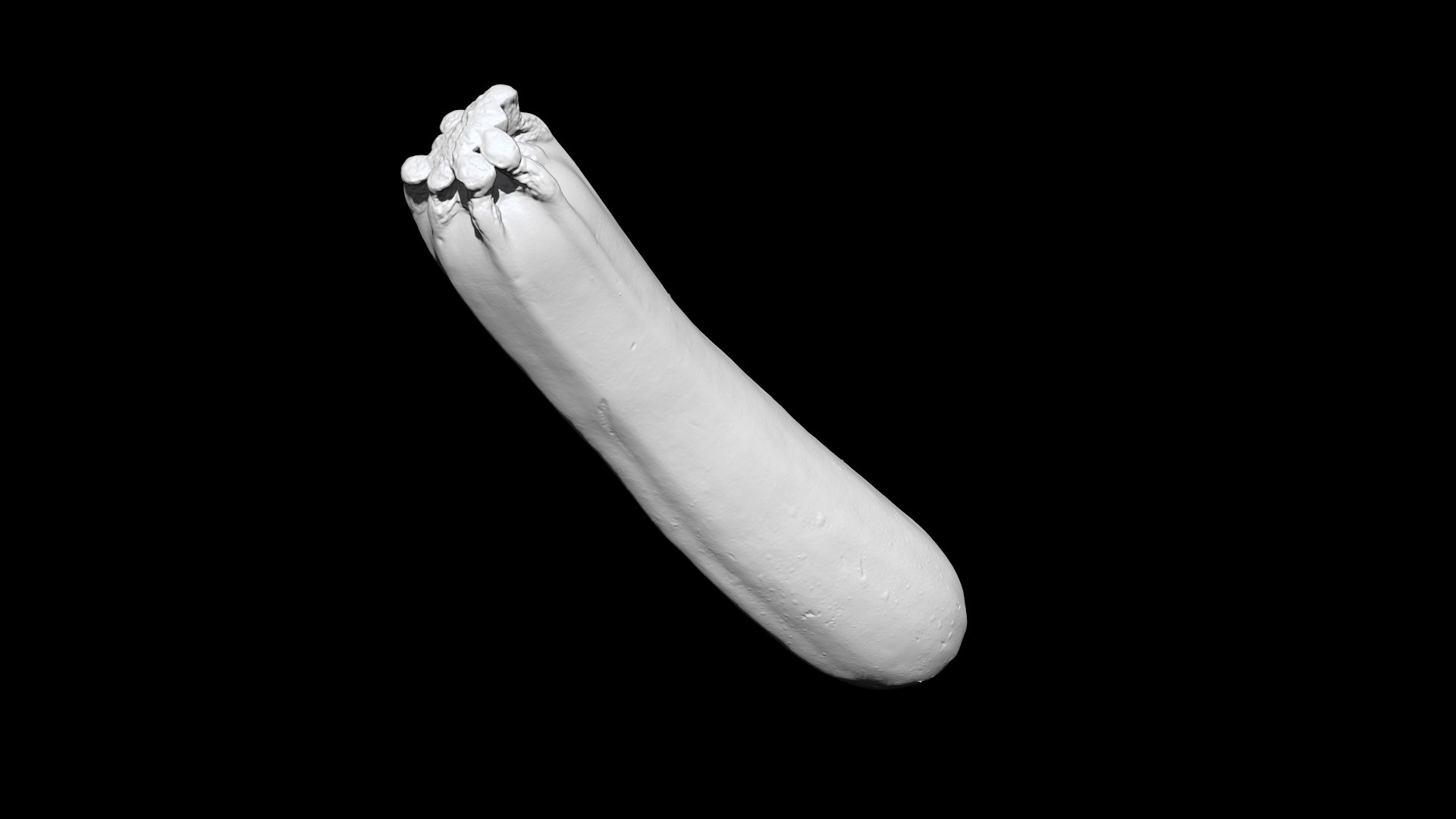 Zucchini 3D CT scan model decimate 10 percent 3D model https://p.turbosquid.com/ts-thumb/yd/AHaLVY/jg/1/png/1658714681/1920x1080/fit_q87/bd2651e427a7c452bd62513e1bcf30f6230a3655/1.jpg