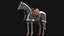 Caballo guerrero blindado 3D