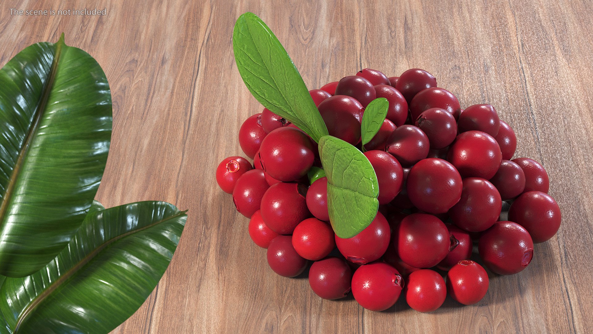 Berry Branches Collection 5 3D model https://p.turbosquid.com/ts-thumb/yd/JBNqTs/0q/berrybranchescollection53dmodel004/jpg/1709639966/1920x1080/fit_q87/07c05e0888cc5b19cf43b3ac34b8f036240878d0/berrybranchescollection53dmodel004.jpg