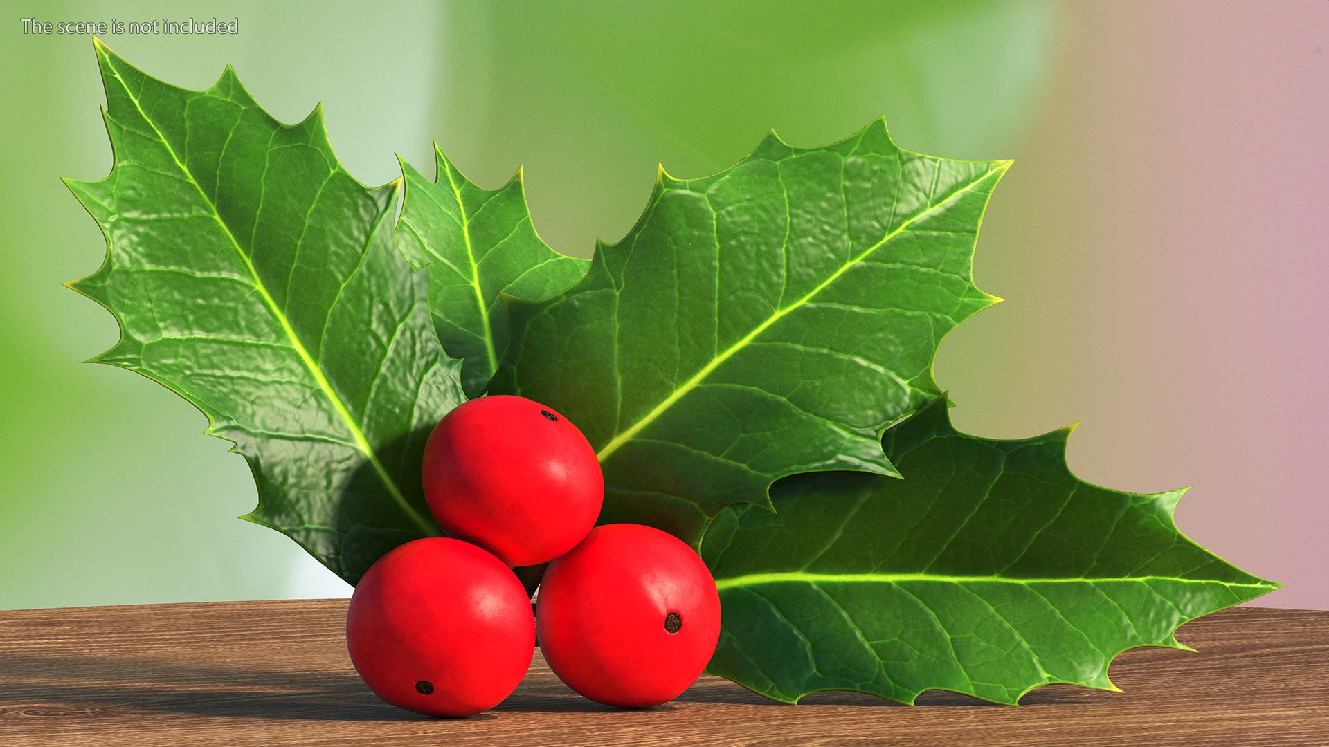 Berry Branches Collection 5 3D model https://p.turbosquid.com/ts-thumb/yd/JBNqTs/5w/berrybranchescollection53dmodel013/jpg/1709640012/1920x1080/fit_q87/b69f7765f19311050fbf8f6776f7109b35ddea01/berrybranchescollection53dmodel013.jpg