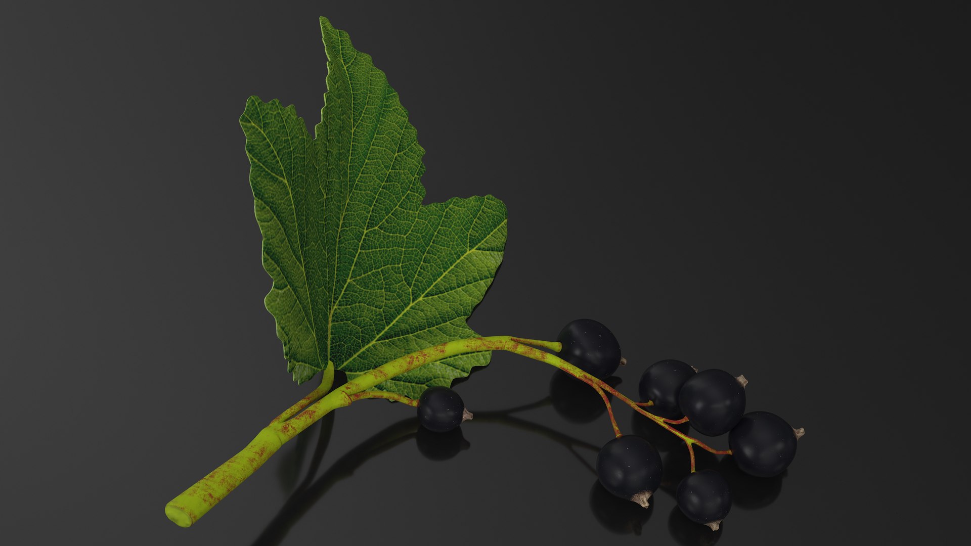Berry Branches Collection 5 3D model https://p.turbosquid.com/ts-thumb/yd/JBNqTs/BS/berrybranchescollection53dmodel048/jpg/1709640192/1920x1080/fit_q87/210bd57418b9e6244bcb8fbaca2bb2ecfb1df6ab/berrybranchescollection53dmodel048.jpg