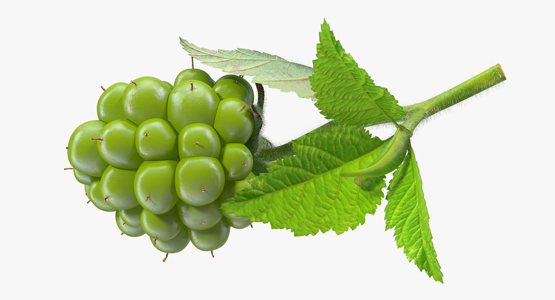 Berry Branches Collection 5 3D model https://p.turbosquid.com/ts-thumb/yd/JBNqTs/Dj/berrybranchescollection53dmodel029/jpg/1709640095/1920x1080/fit_q87/ce9714c133363b498cfa2044c15e41f650407035/berrybranchescollection53dmodel029.jpg