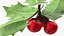 Berry Branches Collection 5