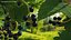 Berry Branches Collection 5
