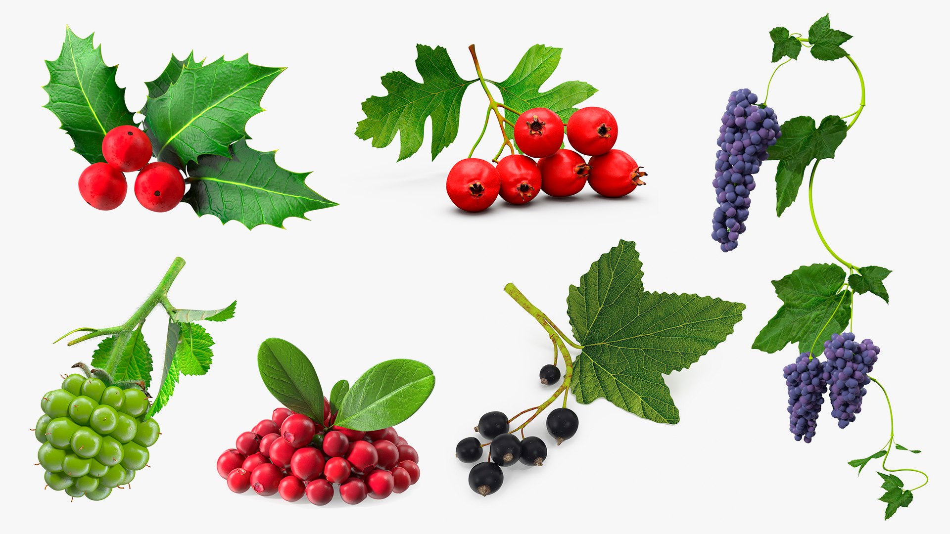 Berry Branches Collection 5 3D model https://p.turbosquid.com/ts-thumb/yd/JBNqTs/OY/berrybranchescollection53dmodel001/jpg/1709638545/1920x1080/fit_q87/9e220828cc82848cc258d85b062d2d4dfcbc6a60/berrybranchescollection53dmodel001.jpg
