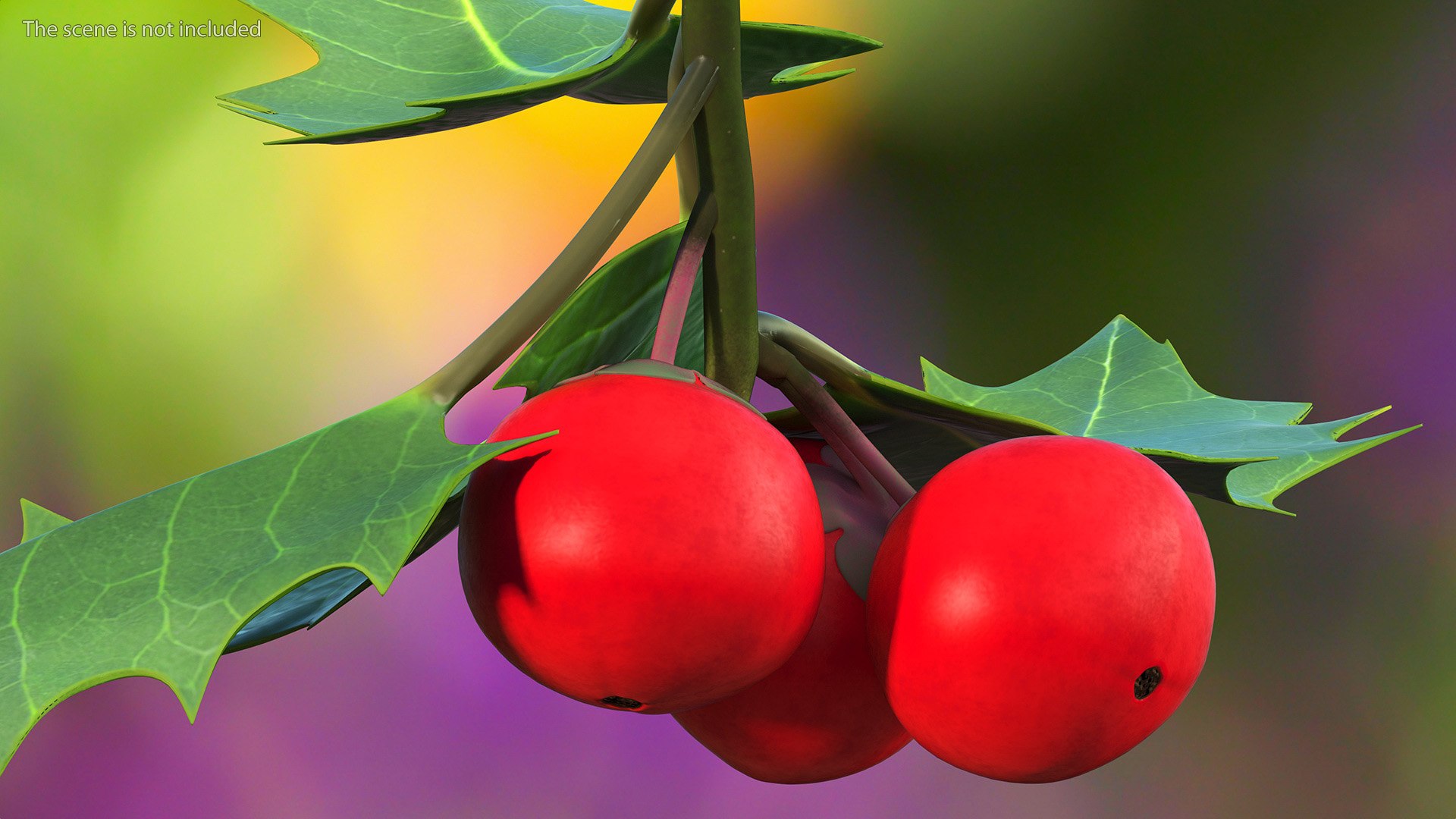 Berry Branches Collection 5 3D model https://p.turbosquid.com/ts-thumb/yd/JBNqTs/Od/berrybranchescollection53dmodel016/jpg/1709640031/1920x1080/fit_q87/3ee136ded44c28bb11a9ba92c13d3b43451c5001/berrybranchescollection53dmodel016.jpg