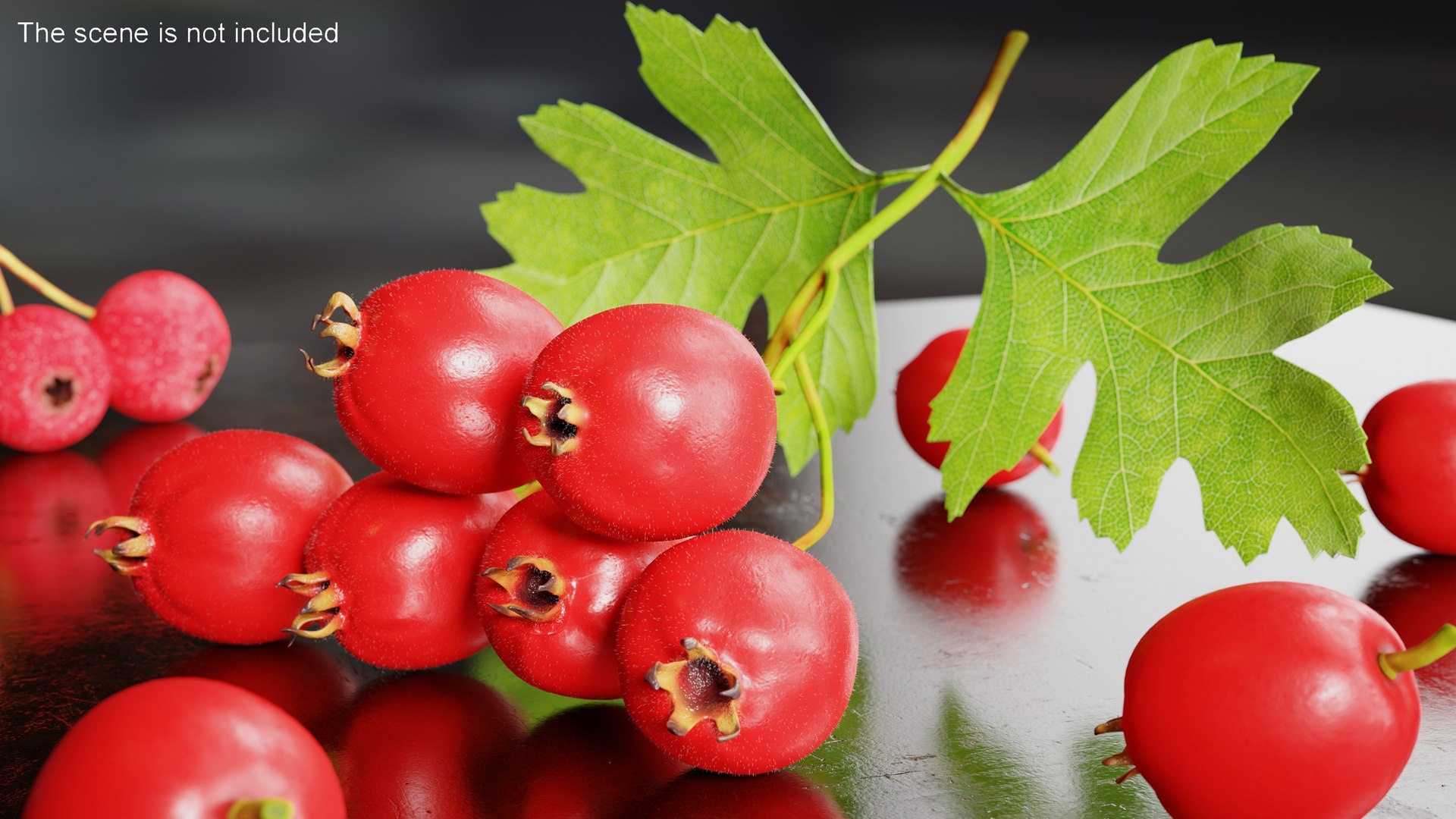 Berry Branches Collection 5 3D model https://p.turbosquid.com/ts-thumb/yd/JBNqTs/RV/berrybranchescollection53dmodel036/jpg/1709640131/1920x1080/fit_q87/ba2f472d4750039ea0001299f76661fc45a690e1/berrybranchescollection53dmodel036.jpg