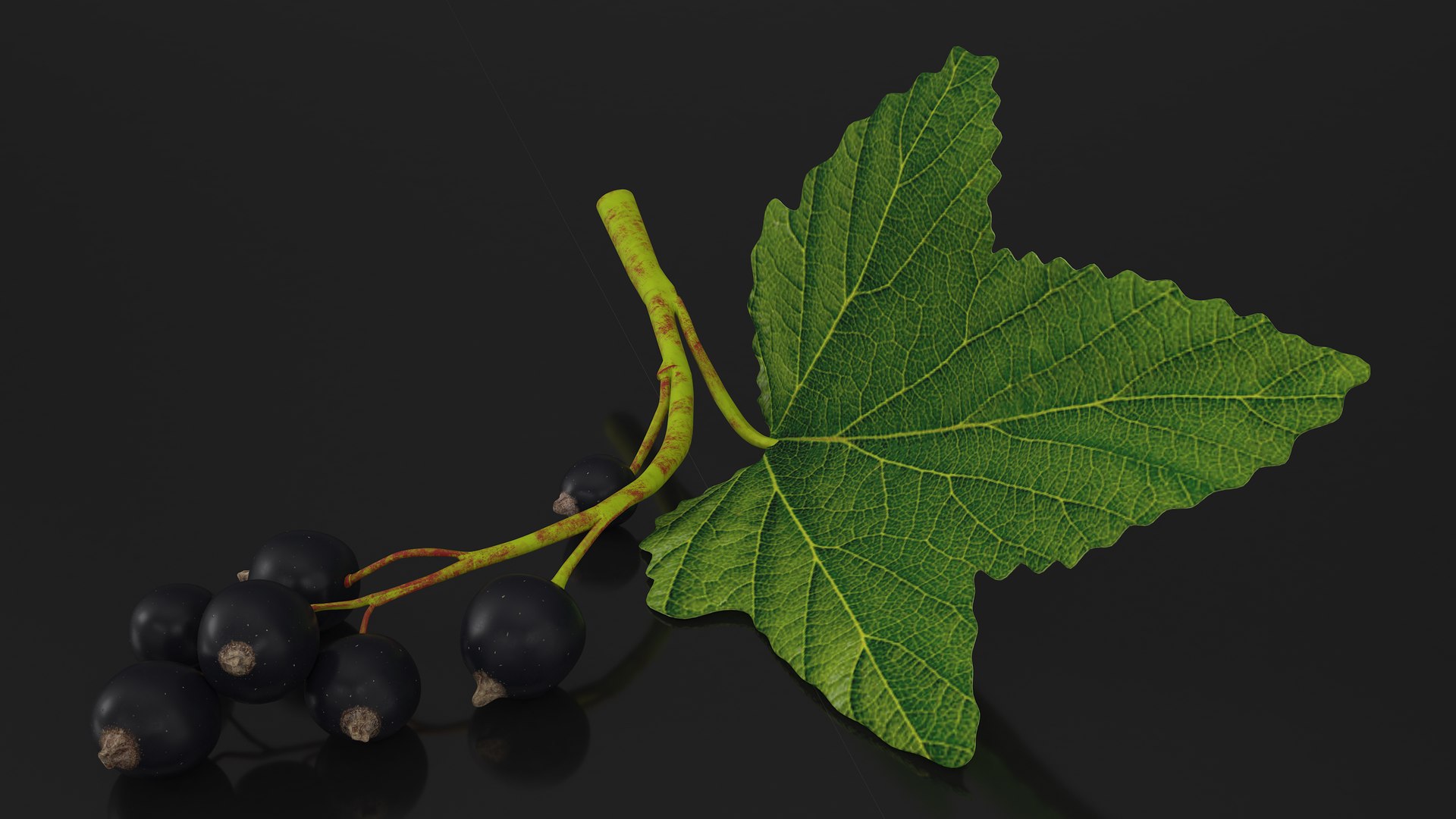 Berry Branches Collection 5 3D model https://p.turbosquid.com/ts-thumb/yd/JBNqTs/Uh/berrybranchescollection53dmodel047/jpg/1709640184/1920x1080/fit_q87/61c8648b29d98cc3b00f4008b28c97564125d69c/berrybranchescollection53dmodel047.jpg