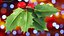 Berry Branches Collection 5