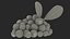 Berry Branches Collection 5