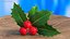 Berry Branches Collection 5