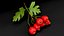 Berry Branches Collection 5