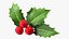 Berry Branches Collection 5