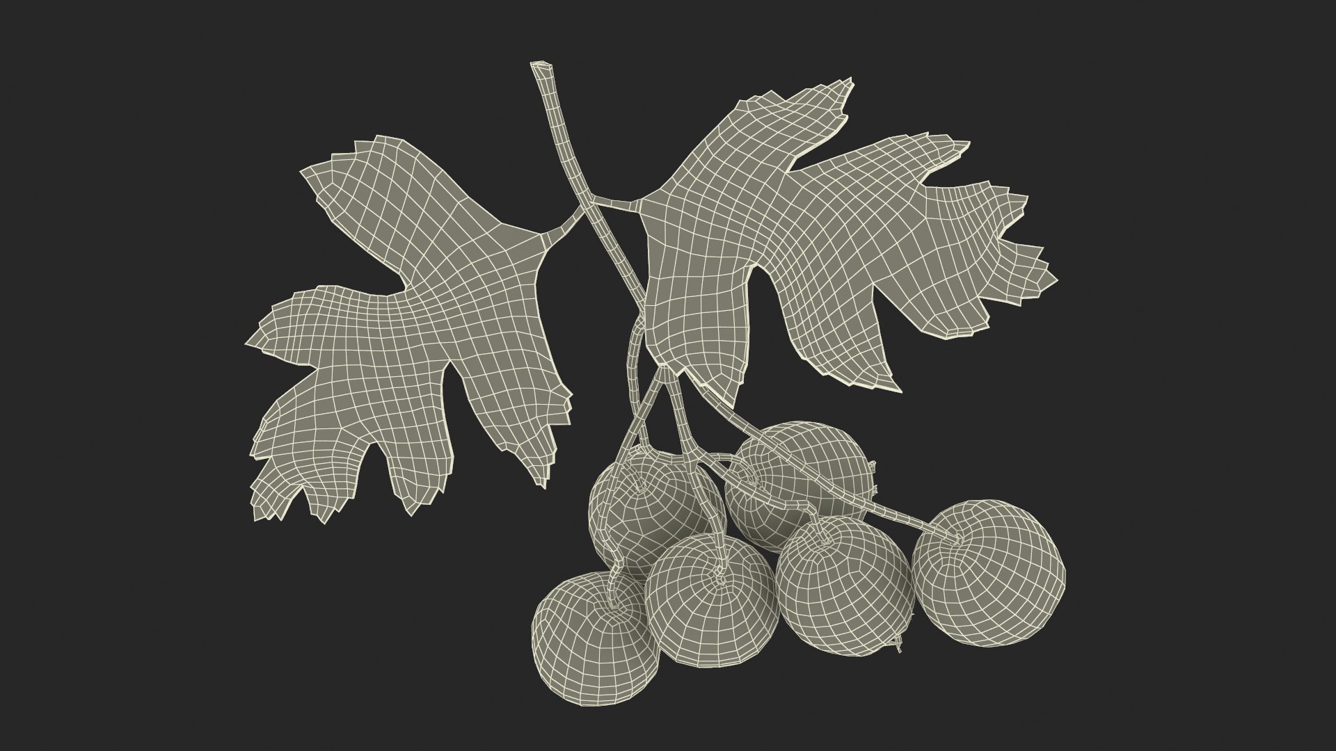 Berry Branches Collection 5 3D model https://p.turbosquid.com/ts-thumb/yd/JBNqTs/nd/berrybranchescollection53dmodel064/jpg/1709640265/1920x1080/fit_q87/4723f1642431198ab54dcac4ee3e4f68bb34a3ec/berrybranchescollection53dmodel064.jpg