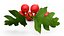 Berry Branches Collection 5
