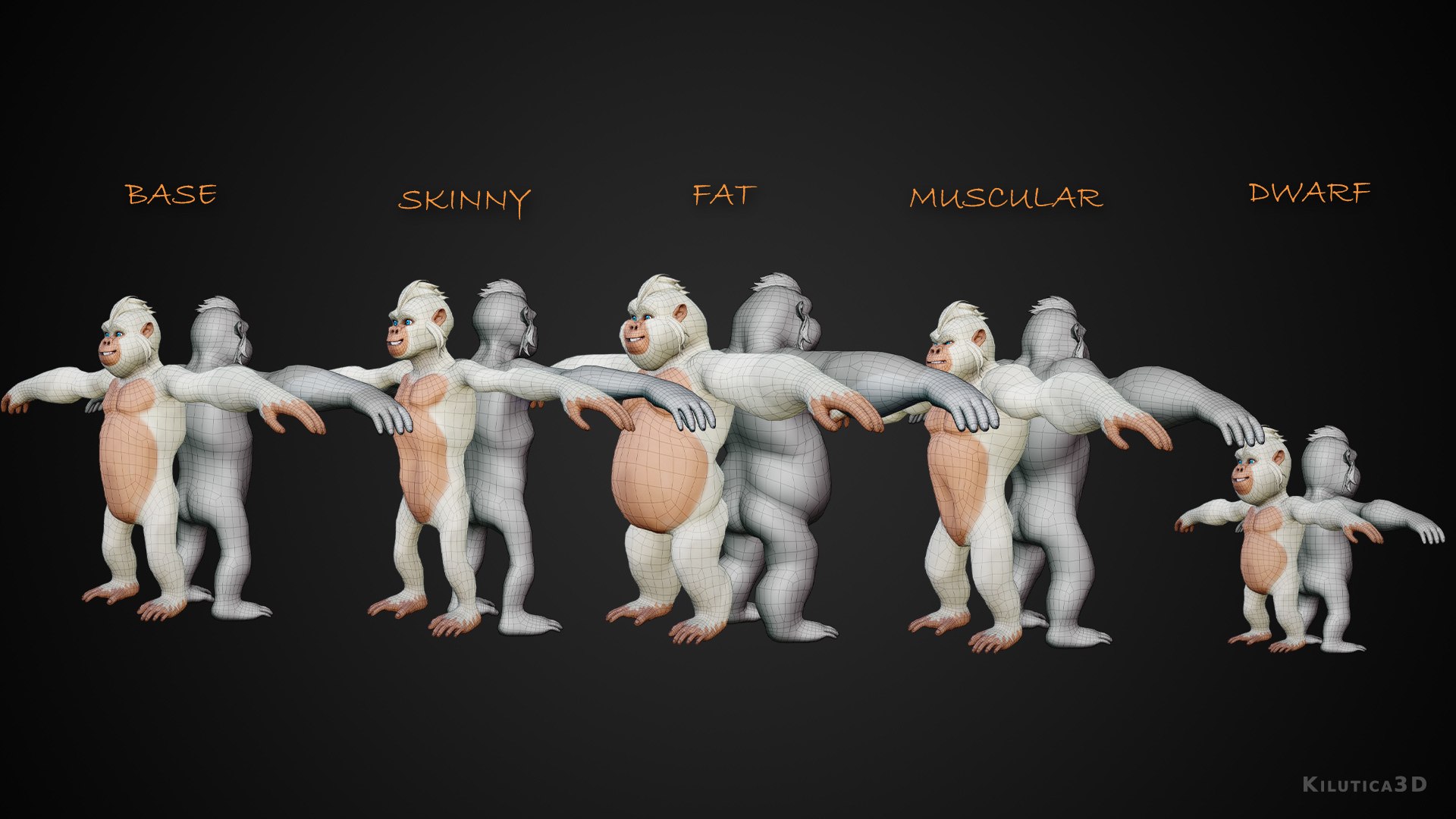3D Primate Base Mesh - TurboSquid 2517814