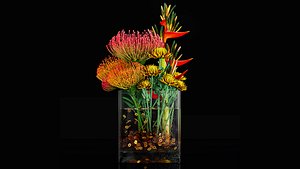 3D Plant 20 model
