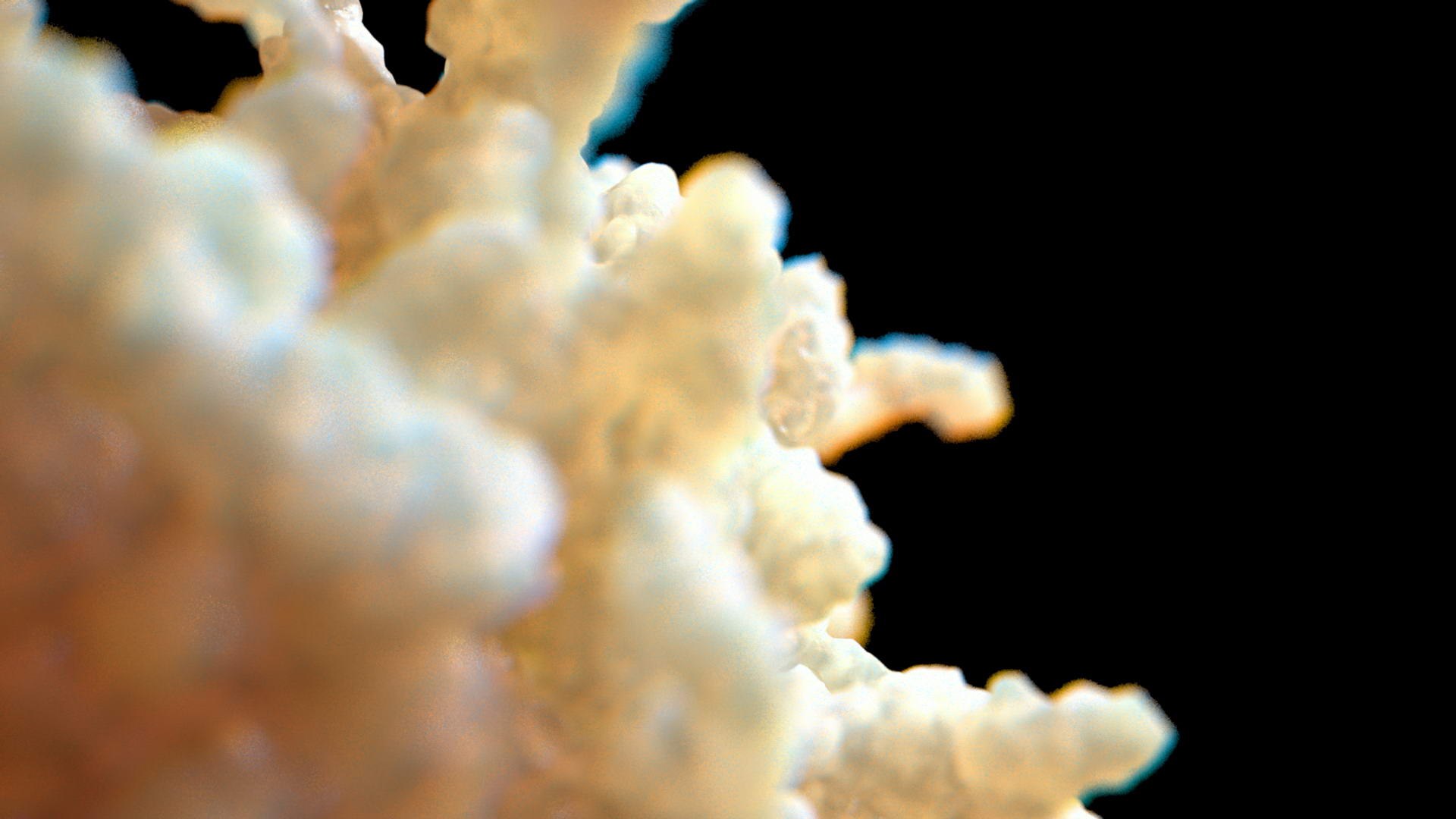 3d Leukocyte White Blood Cell Model