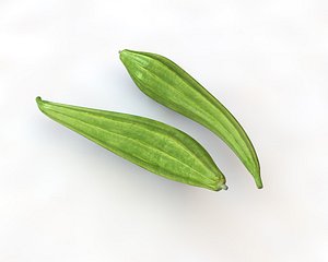 gourd 3D
