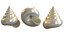 Beautiful spiral shell with pearl color and perfect shape