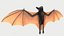 Bat