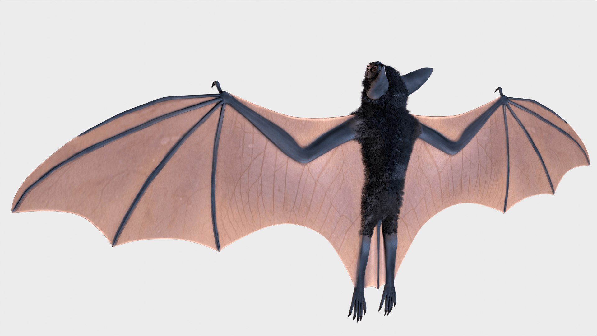3D model Bat https://p.turbosquid.com/ts-thumb/ye/6ZqgJL/hG/bat_1920x1080_4/png/1720687743/1920x1080/fit_q87/e38c356a4df3954fedc271deccd7f698e0c8ea21/bat_1920x1080_4.jpg