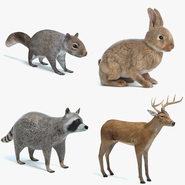 animal 1 3D