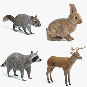 Animal Set 1
