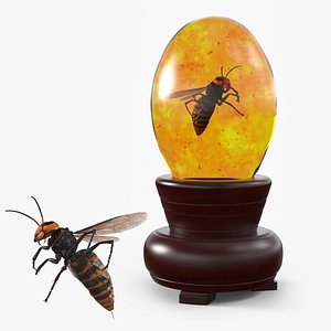 Decorative Insect Fossil in Amber Display