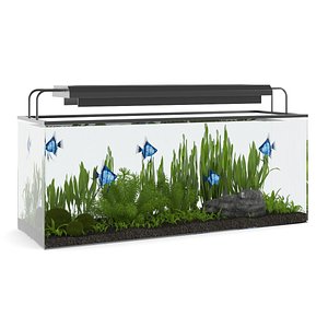 Rectangular Aquarium with Light