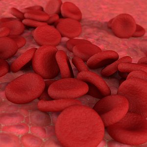 Red Blood Cells