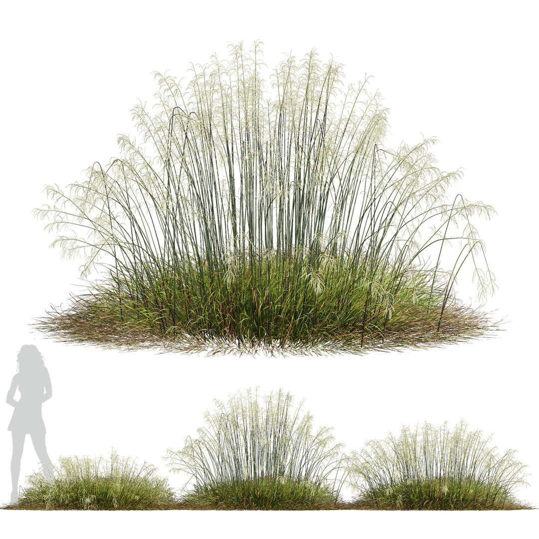 6 Different SETS Of Grass SET VOL02 Model - TurboSquid 2124602