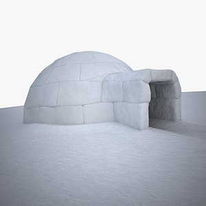 Igloo