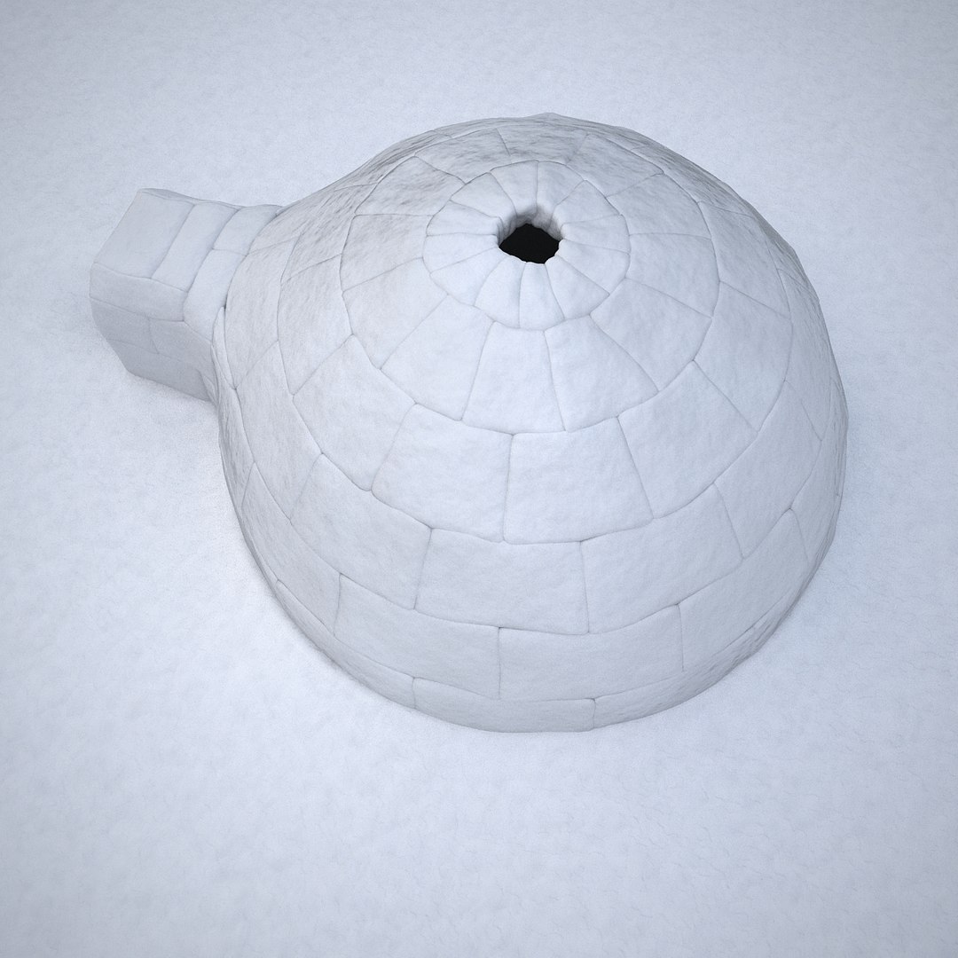 3d model igloo