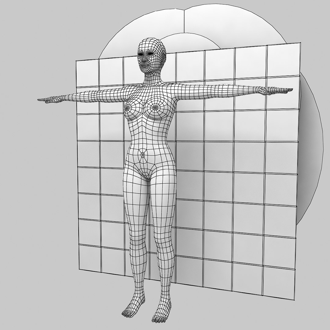 3d Model Of Woman Proportional Human Body