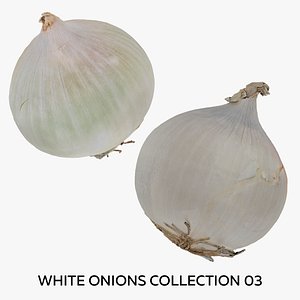 White Onions Collection 03 - 2 models RAW Scans 3D model