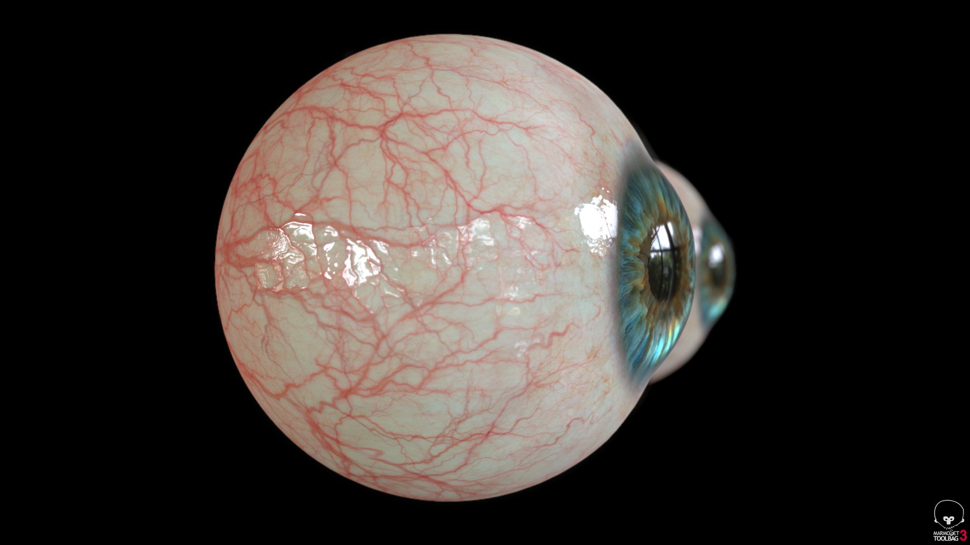 Eye Blue 1 Real-time 3D model 4k texture Marmoset Toolbag3 Maya FBX OBJ model https://p.turbosquid.com/ts-thumb/ye/uROmxB/19/screenshot011/png/1667292974/1920x1080/fit_q87/f5fbab0a47f812ce0ab0b1b92b3f6c0a20866042/screenshot011.jpg