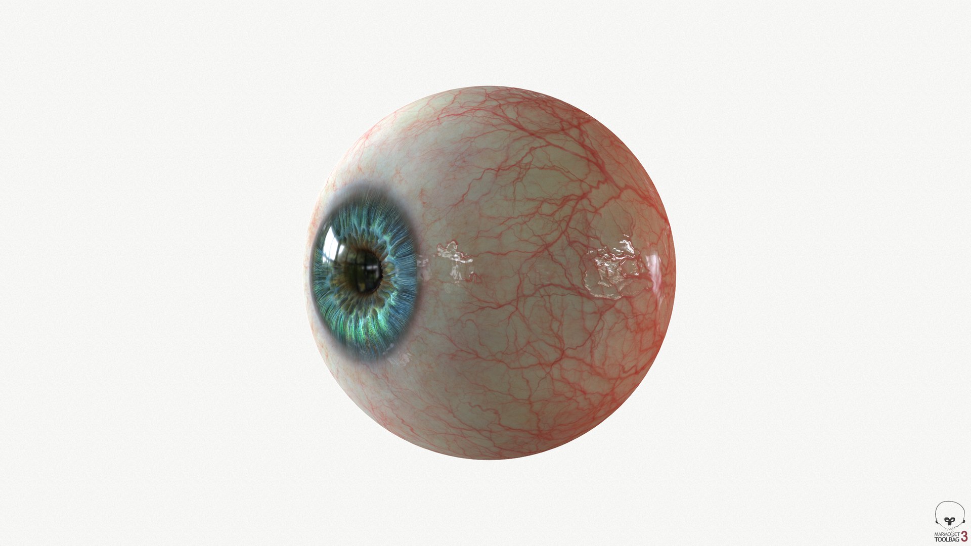 Eye Blue 1 Real-time 3D model 4k texture Marmoset Toolbag3 Maya FBX OBJ model https://p.turbosquid.com/ts-thumb/ye/uROmxB/86/screenshot119/png/1667293567/1920x1080/fit_q87/6491d3d9a78fdc7f0aa0f536b3a304031249cd7d/screenshot119.jpg