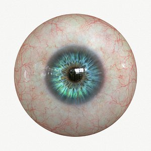 3D Google Eyes Set - TurboSquid 1769346