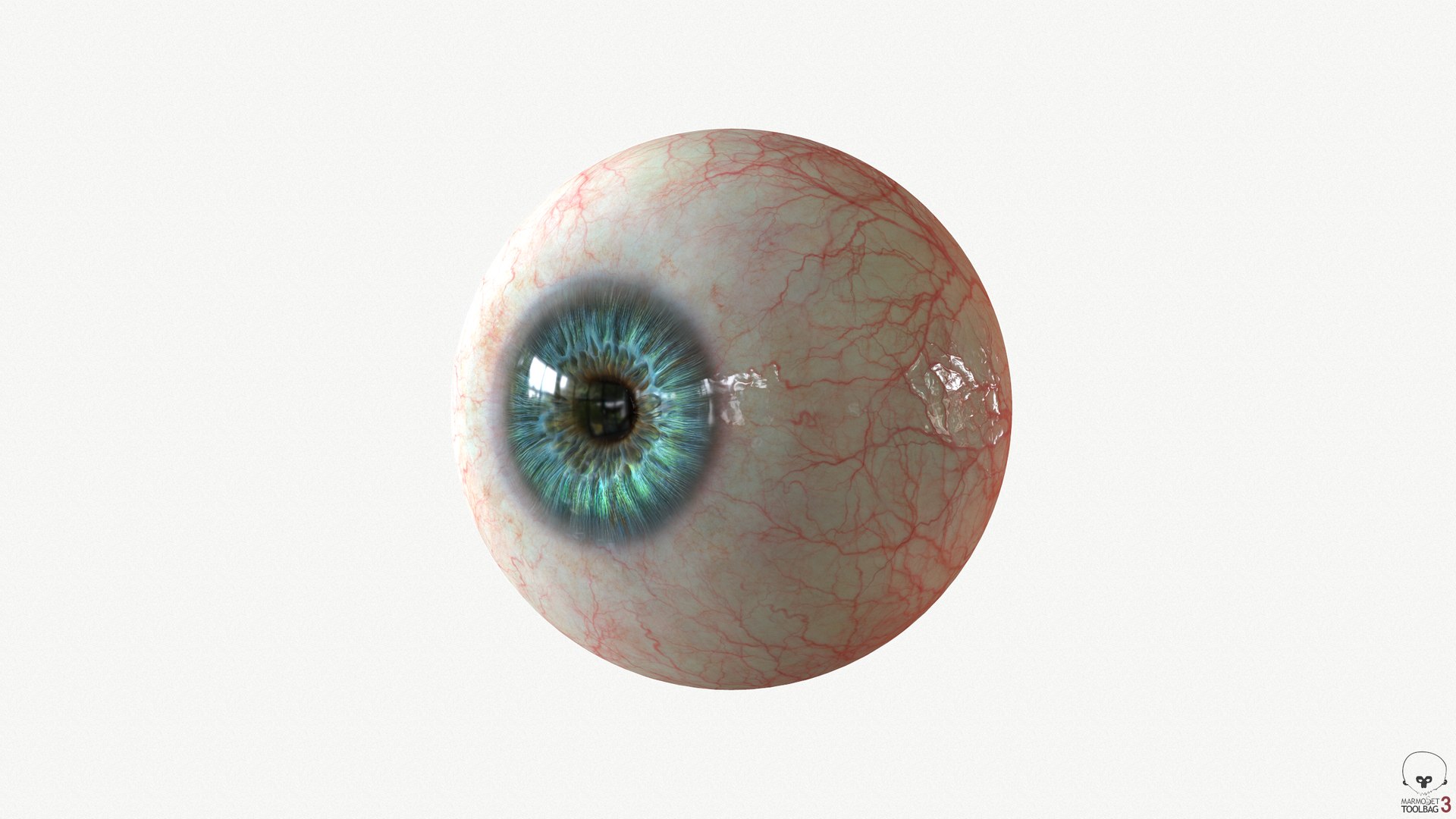 Eye Blue 1 Real-time 3D model 4k texture Marmoset Toolbag3 Maya FBX OBJ model https://p.turbosquid.com/ts-thumb/ye/uROmxB/Eq/screenshot120/png/1667293591/1920x1080/fit_q87/2540efd5082a40b9057d5bb2f1334bb806b98a0a/screenshot120.jpg
